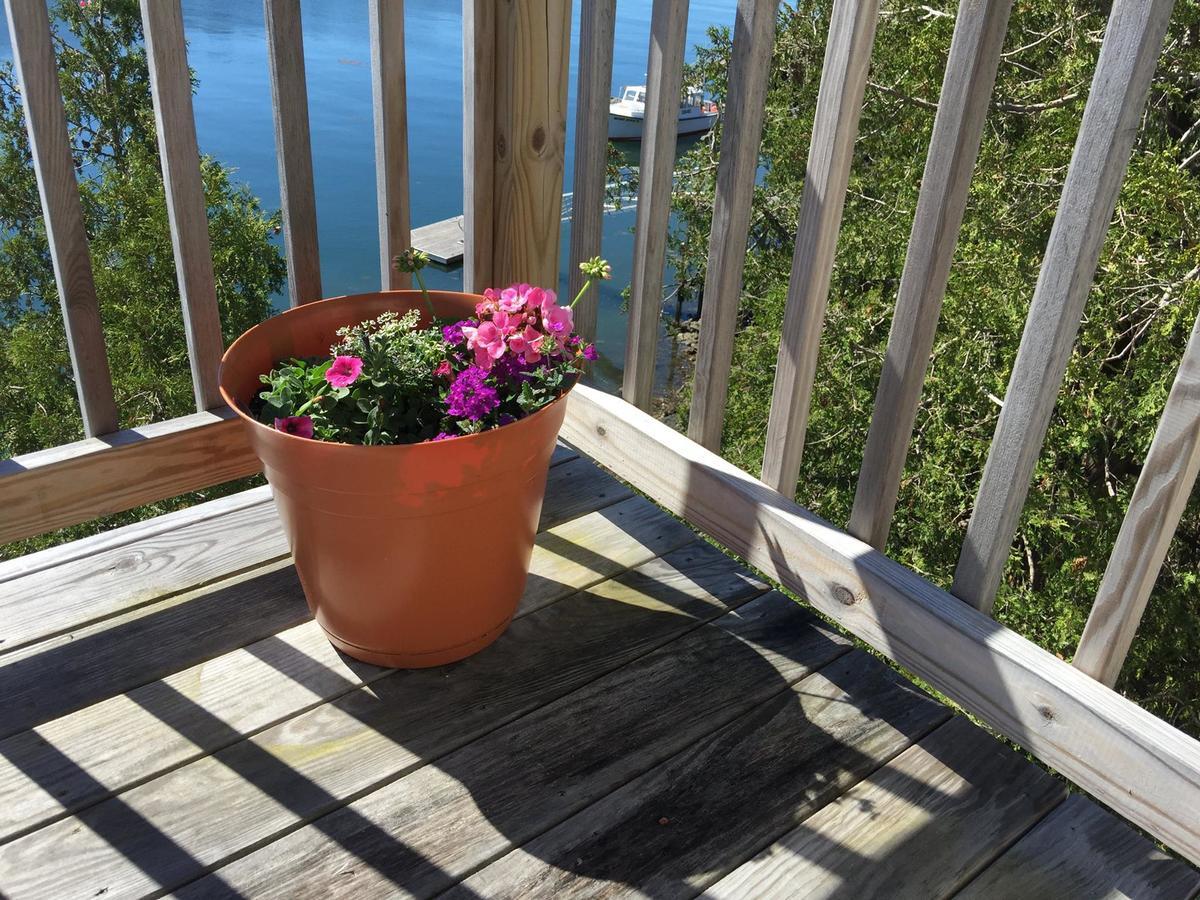 Quahog Bay Inn Harpswell Exterior foto